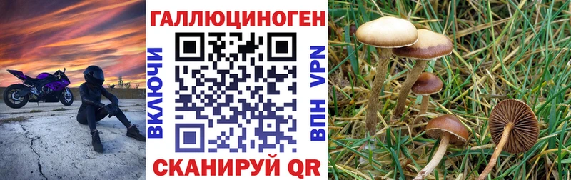 Галлюциногенные грибы MAGIC MUSHROOMS  Смоленск 